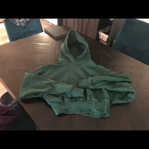 TNA Aritiza shrunken hoodie